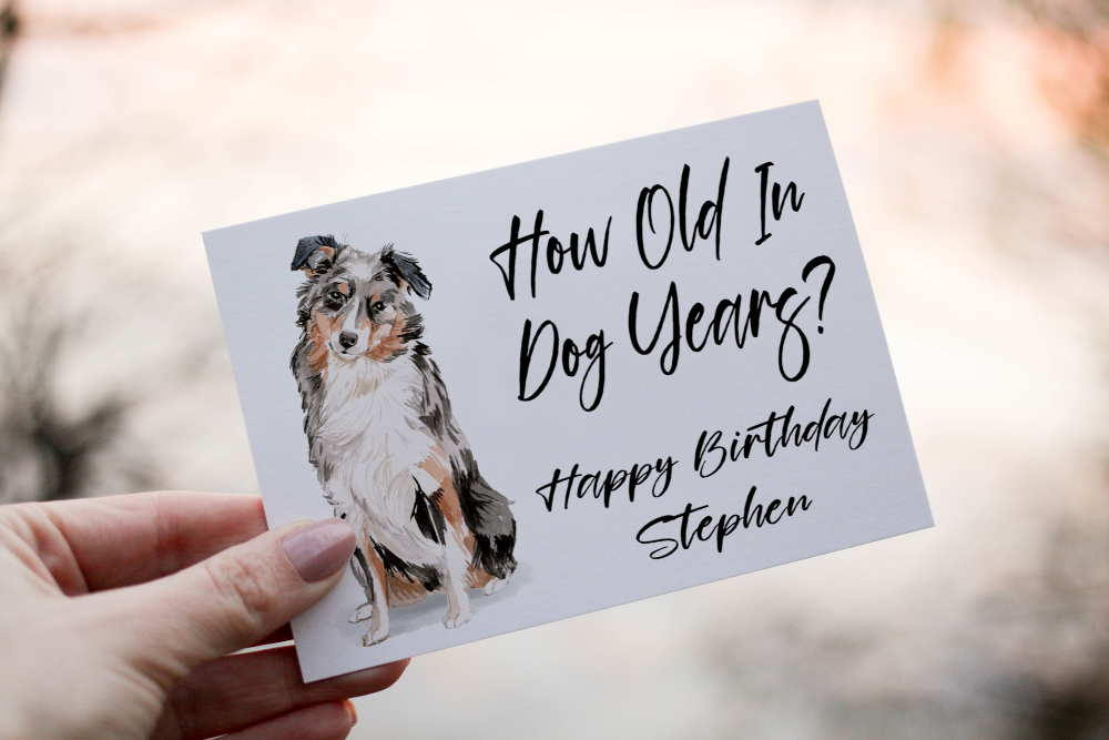 Australian Shepherd Dog Birthday Card, Dog Birthday Card - Click Image to Close